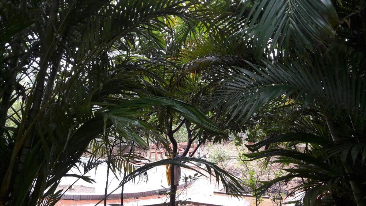 Bachlien Pine Forest Villa Hanoi Exterior photo