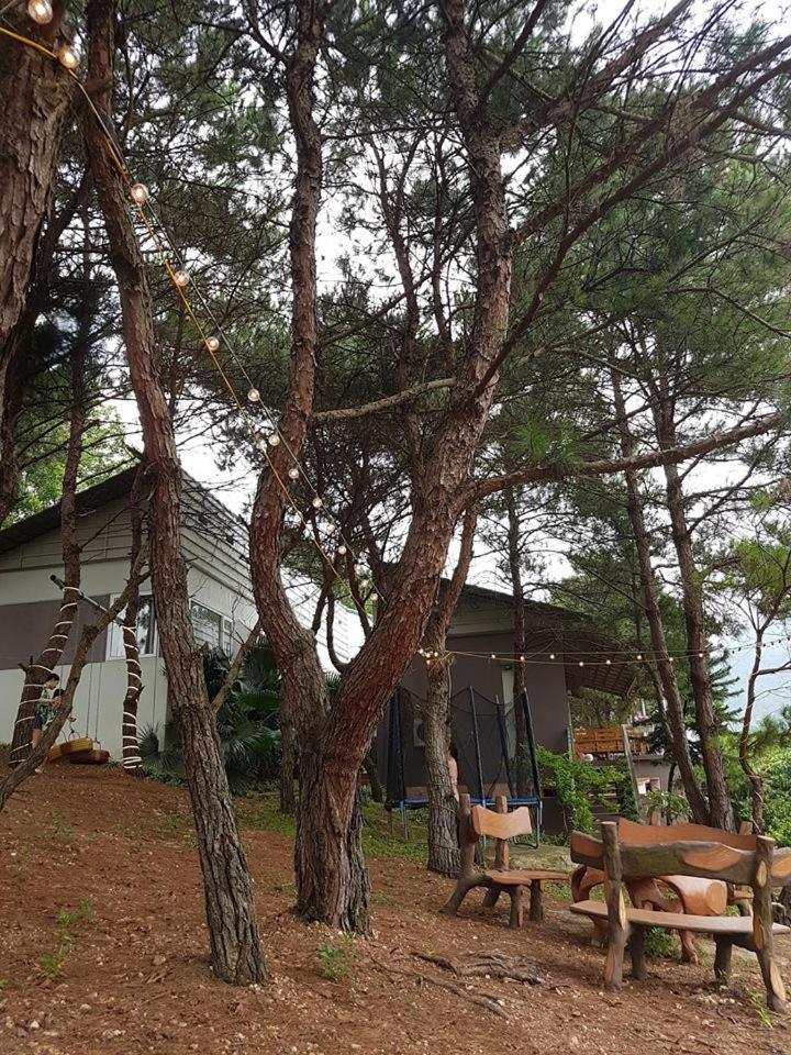 Bachlien Pine Forest Villa Hanoi Exterior photo
